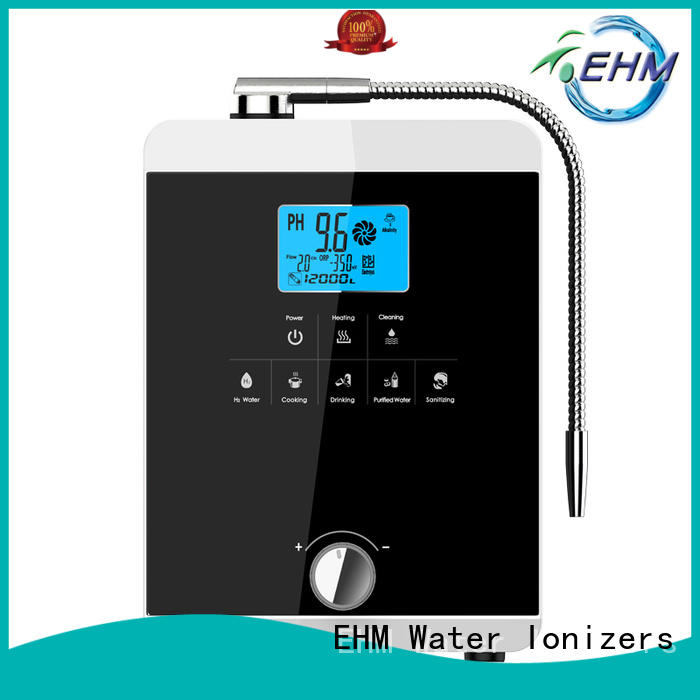 EHM machine ionizer machine customized for dispenser
