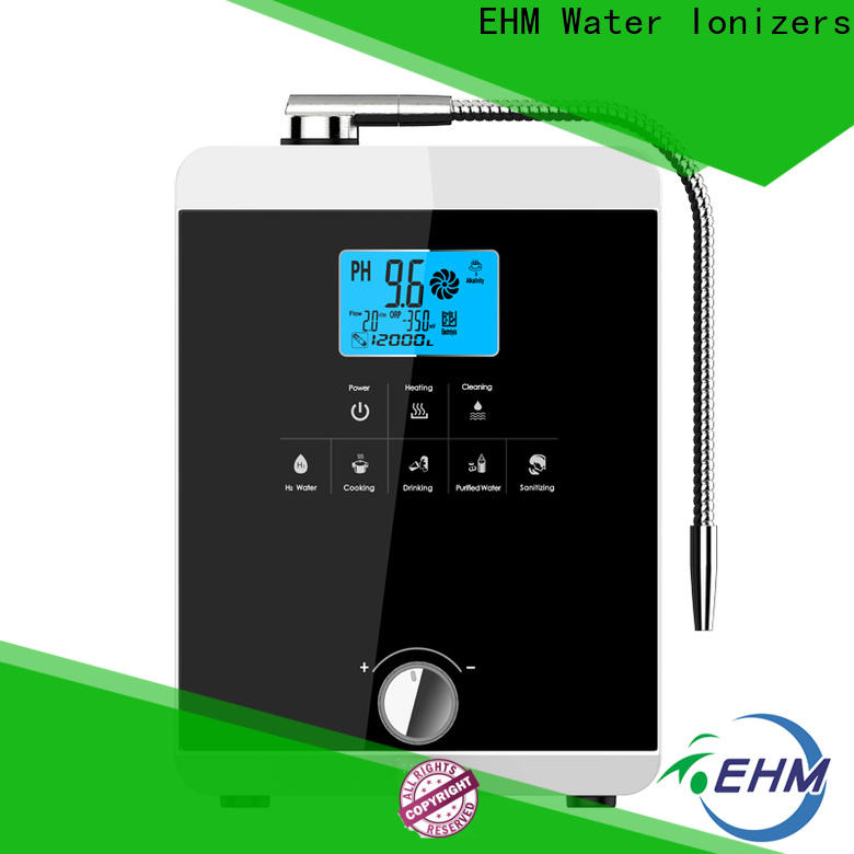 low-cost water ionizer reviews drinking company for family